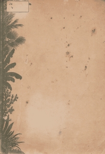 Черноморское побережье Кавказа. Альбом видов. 1955 (обложка 1)