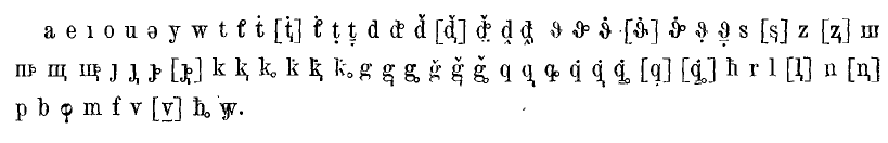 Абхазский аналитический алфавит на латинской основе, разработанный акад. Н. А. Марром